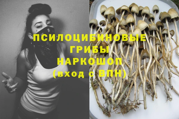 мяу мяу мука Семикаракорск