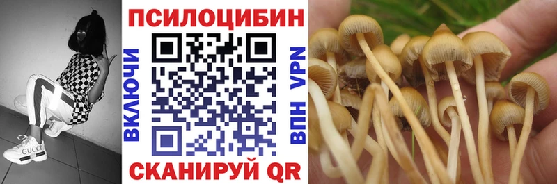 Галлюциногенные грибы мицелий  наркотики  Таштагол 